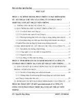 sự hình thành, phát triển và đặc điểm kinh tế - kỹ thuật chủ yếu của công ty cổ phần phát triển hạ tầng kỹ thuật viễn thông