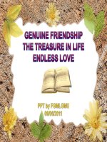 TÌNH BẠN CAO QUÝ - TÌNH YÊU BẤT DIỆT - GENUINE FRIENDSHIP - ENDLESS LOVE