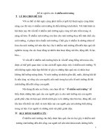 đề tài nghiên cứu khoa học ô nhiễm môi trường