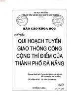 Qui hoạch tuyến giao thông công cộng thí điểm của thành phố Đà Nẵng