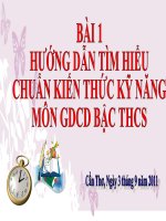 Hướng dẫn thực hiện CHUẨN KIẾN THỨC KỶ NĂNG ( Bài 1 )