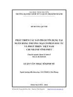 Phát triển các sản phẩm tín dụng tại ngân hàng thương mại cổ phần đầu tư và phát triển Việt Nam chi nhánh Vĩnh Phúc