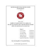 Tiểu luận: Nghiên cứu định lượng về tác động của tốc độ tăng trưởng GDP và độ mở thương mại đến dòng vốn FDI đăng ký tại Việt Nam