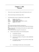 bài tập trắc nghiệm cơ sở dữ liệu chương 5 sql tutorial