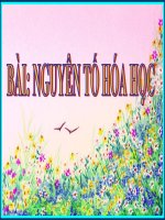 bài 5 nguyên tố hóa học