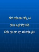 Bài 11: Lực hấp dẫn 10 CB
