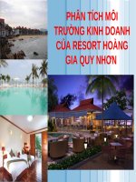 Thuyết trình: Phân tích môi trường kinh doanh của resort Hoàng Gia Quy Nhơn