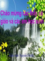 bai 2: cac gioi sinh vat