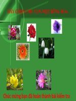 TRÒ CHƠI KIỂM TRA TOÁN 1. BÀI SỐ 1