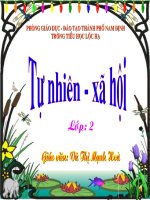 CÂY SỐNG Ở ĐÂU?