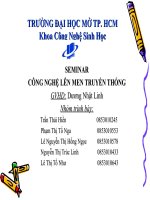 nước trái cây lên men