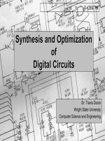 synthesis and optimization of digital circuits