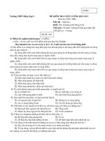 Đề thi hki 1 - 11NC