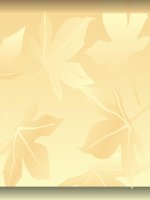 Tuan 31. Thanh pho Da Nang