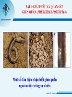 Một số bài kỹ năng thực hành