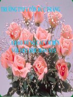 viet nam sau cach mang thang TAM