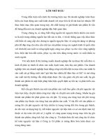 Công tác kế toán nguyên vật liệu tại Công ty cổ phần xi măng Bỉm Sơn – kết quả và những vấn đề đặt ra