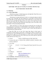 Báo cáo thực tập tổng hợp công ty cổ phần thương mại xnk thanh niên