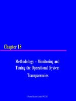 slide cơ sở dữ liệu tiếng anh chương  (18) methodology – monitoring and tuning the operational system transparencies