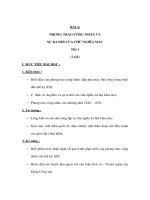 lịch sử lớp 8 chuẩn KTKN