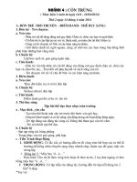 giáo án mầm non nhanh 4 con trung