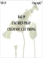 Tiết 15-Bài 19-Các biện pháp chăm sóc cây trồng
