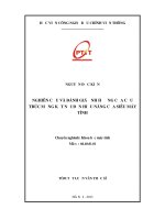 NGHIÊN CỨU VÀ ĐÁNH GIÁ ẢNH HƯỞNG CỦA CẤU TRÚC MẠNG KẾT NỐI ĐẾN HIỆU NĂNG CỦA SIÊU MÁY TÍNH