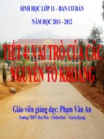 Tiết 4- Vai trò của các nguyên tố khoáng