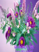 ĐỚI NÓNG. MÔI TRƯỜNG XÍCH ĐẠO ẨM