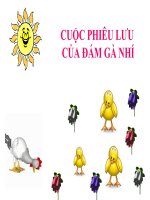 Cuộc phiêu lưu của gà nhí