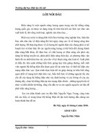 ĐỒ ÁN MẪU LƯỚI ĐIỆN ĐẠI HỌC ĐIỆN LỰC
