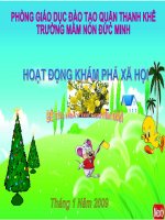 Ngày tết Nguyên Đán