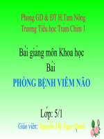 Bài: Phòng bệnh viêm não
