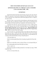 phân tích thống kê kết quả sản xuất kinh doanh của công ty tnhh quà tặng cánh diều vàng giai đoạn 2008 – 2010