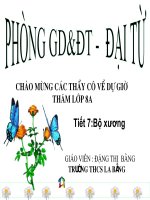 Tiết 7: Bộ xương người