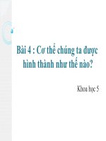 bài 4 lớp 5