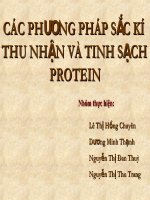 Các phương pháp sắc kí