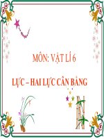 bài giảng vật lý 6 bài 6 lực-hai lực cân bằng