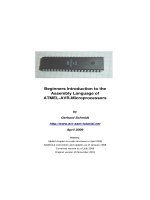 Beginners introduction to the assembly language of ATMELAVRMicroprocessors
