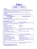 GIÁO ÁN LỚP 2 TUẦN 1...> 5