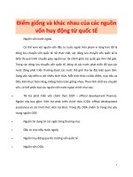 Điểm giống và khác nhau của các nguồn vốn huy động từ Quốc tế