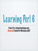 Learning perl 6 english tutorial
