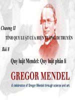 Bài 8: Quy luật Menđen