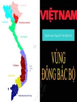 vung tay bac va dong bac