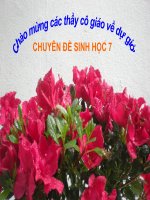 Bài 15 - Giun đất