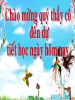 Luyện từ và câu(thi GVG)