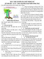 Bài 2: Vận chuyển các chất trong cây