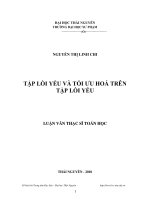 tập lồi yếu và tối ưu hóa trên tập lồi yếu