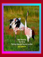 Tiếng Sáo Thiên Thai