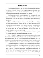 Đánh giá hoạt động kinh doanh và tổ chức công tác kế toán tại Công ty xi măng Bỉm Sơn.doc